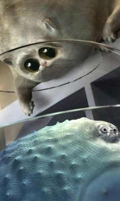 -