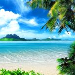 Summer Tropical Beach Wallpaper