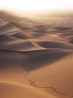 aerial photo of brown desert wallpaper