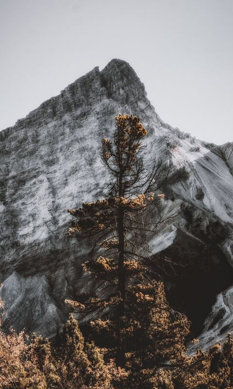 -