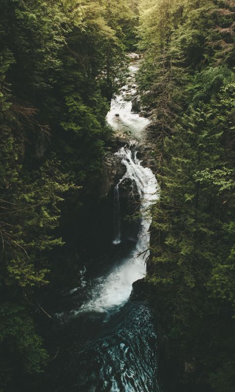 -