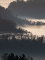 green trees on mountain during daytime wallpaper