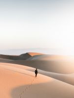 Walking in desert