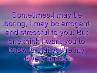 Sometimes I may be boring, I may be arrogant and stressful to you. But one think I want you to know is that you're my lovely buddy. Text Wallpaper