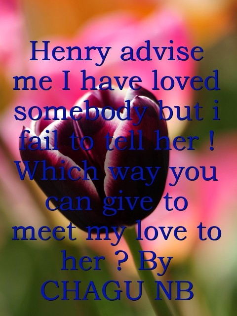 Henry advise me I have loved somebody but i fail to tell her ! Which way you can give to meet my love to her ? By CHAGU NB Text Wallpaper
