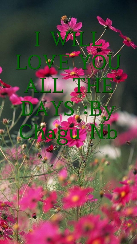 I WILL LOVE YOU ALL THE DAYS :By Chagu Nb Text Wallpaper
