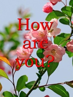 How are you? Text Wallpaper