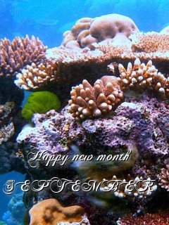 Happy new month SEPTEMBER Text Wallpaper
