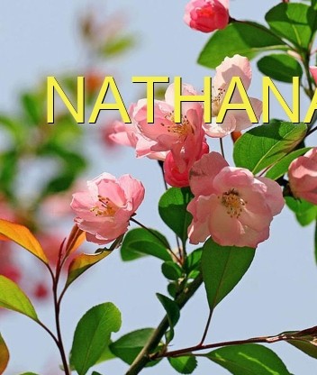 NATHANAEL Text Wallpaper