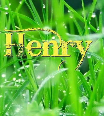 Henry Text Wallpaper