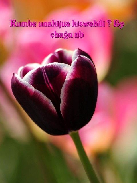 Kumbe unakijua kiswahili ? By chagu nb Text Wallpaper