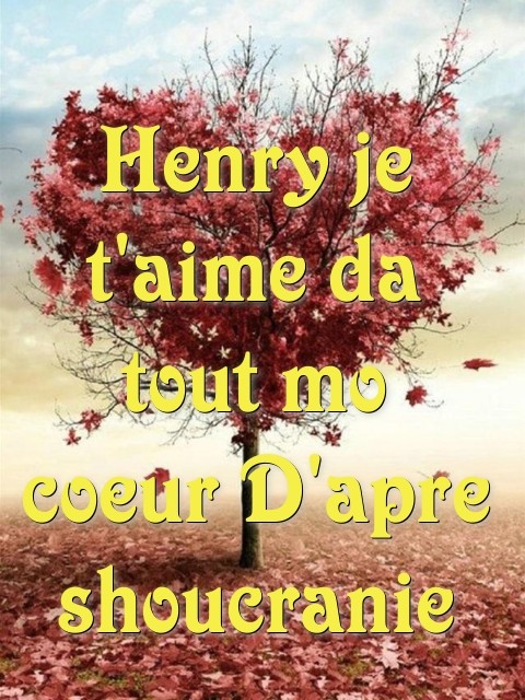 Henry je t'aime da tout mo coeur D'apre shoucranie  Text Wallpaper