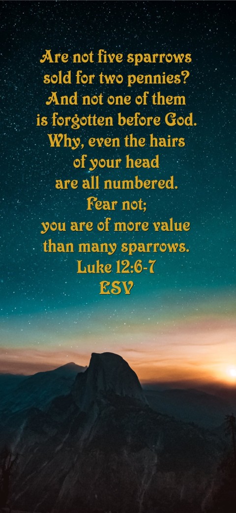 
Are not five sparrows
sold for two pennies?
And not one of them
 is forgotten before God.
Why, even the hairs
of your head
are all numbered.
Fear not;
you are of more value
than many sparrows.
Luke 12:6-7
ESV Text Wallpaper
