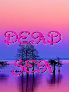 DEAD SEA Text Wallpaper