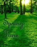 Spring
Time Text Wallpaper