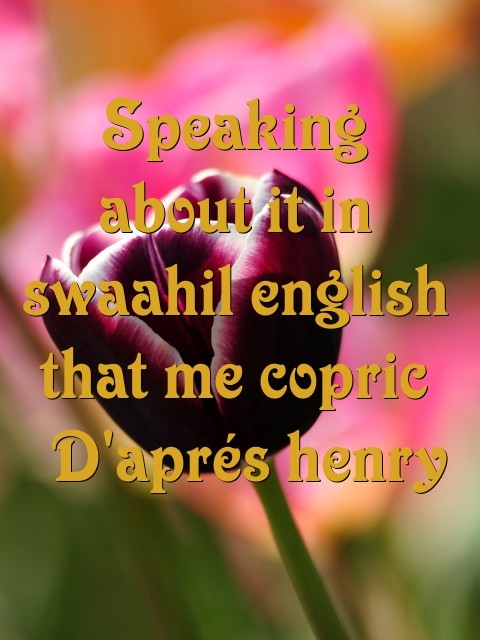 Speaking about it in swaahil english that me copric  D'aprés henry Text Wallpaper