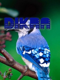 DIKRA Text Wallpaper