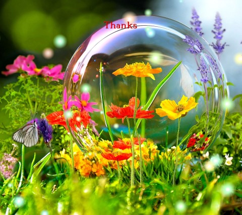Thanks Text Wallpaper