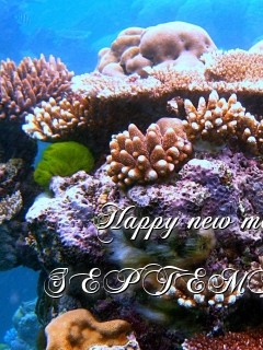 Happy new month SEPTEMBER Text Wallpaper
