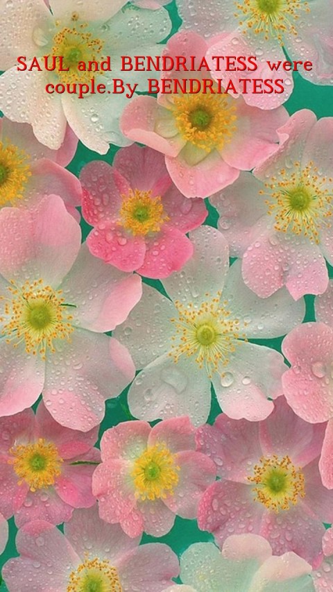 SAUL and BENDRIATESS were couple.By BENDRIATESS Text Wallpaper