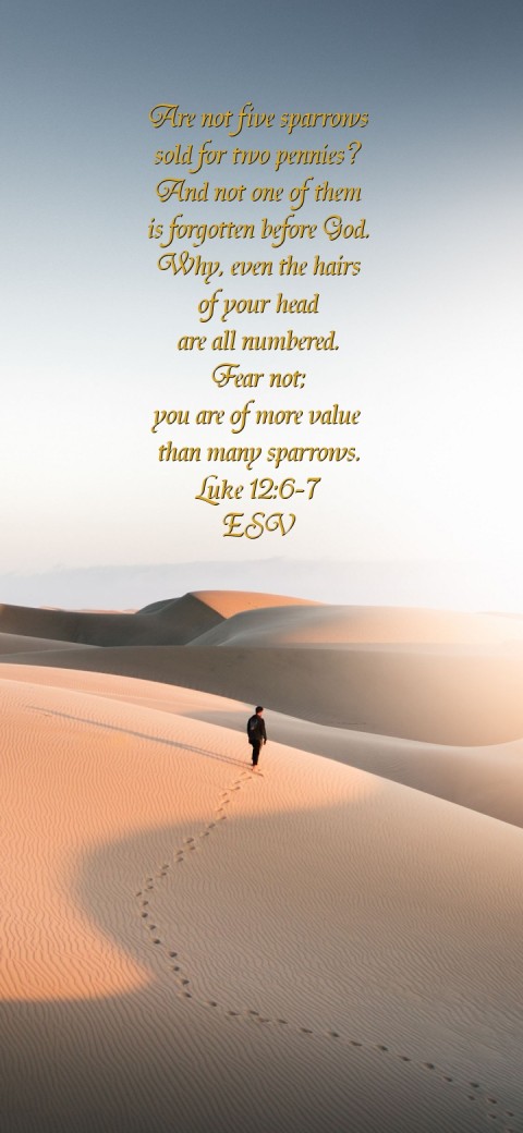 Are not five sparrows
sold for two pennies?
And not one of them
 is forgotten before God.
Why, even the hairs
of your head
are all numbered.
Fear not;
you are of more value
than many sparrows.
Luke 12:6-7
ESV Text Wallpaper