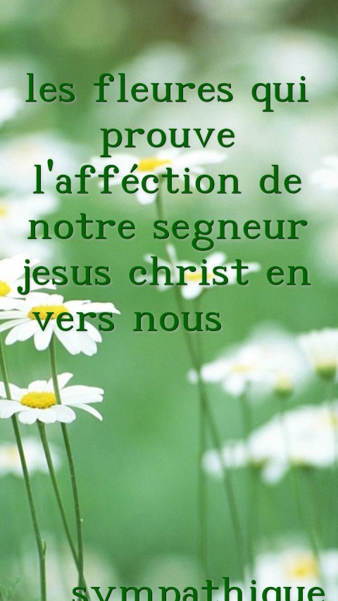 les fleures qui prouve l'afféction de notre segneur jesus christ en vers nous                                             sympathique Text Wallpaper